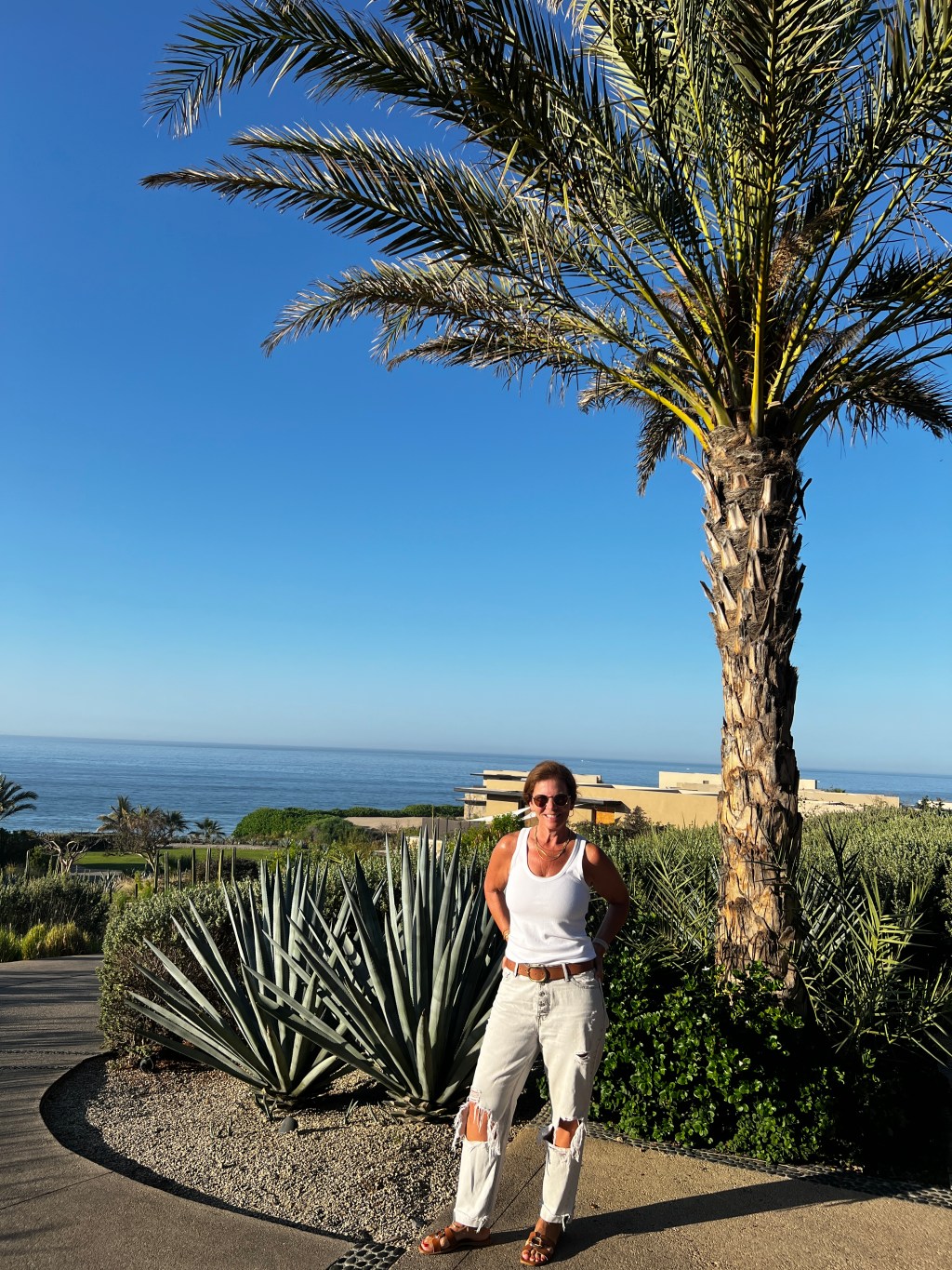 Exploring Los Cabos with a stay at Zadún, Ritz-Carlton&nbsp;Reserve